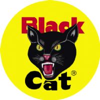 http://savetheblackcat.files.wordpress.com/2008/02/black-cat-fireworks-logo.jpg
